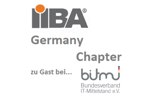 IIBA Chapter und BITMi Logo