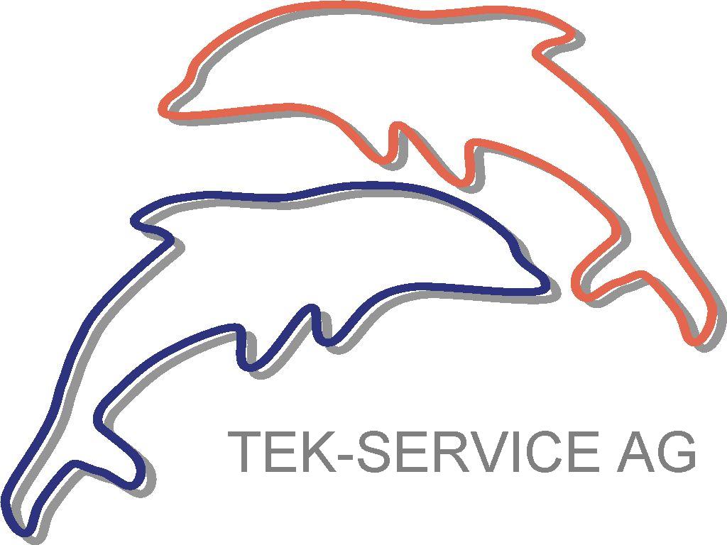 TEK-Service AG Logo